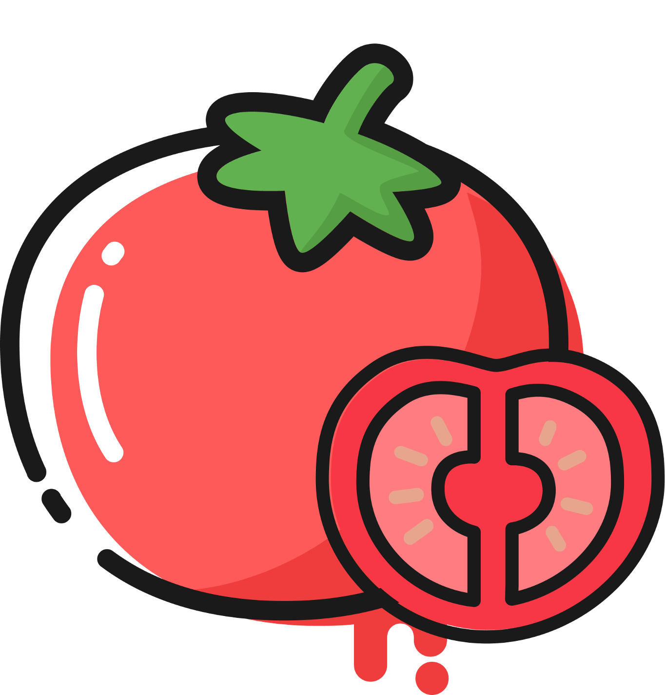 番茄轻断食免费版 v1.0.2