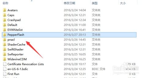 解决最新版Chrome无法加载Flash的方法 2