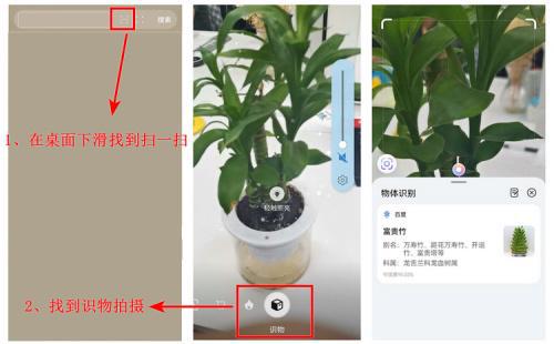 揭秘！百度APP扫一扫功能，轻松解锁图片内容识别新技能 2