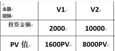 网络用语中PV的具体含义解析 3