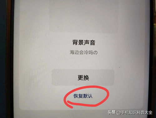 微信视频通话铃声如何恢复默认设置？ 2