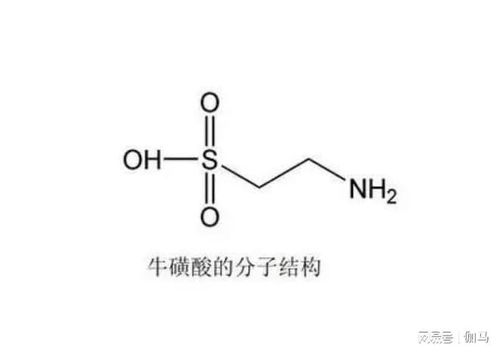 揭秘！牛磺酸：神奇的健康助力与鲜为人知的潜在影响 1