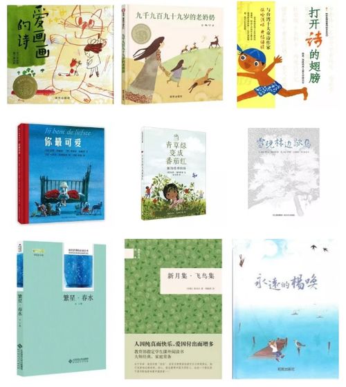 书香悦心：阅读的无限乐趣 4