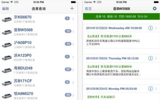 贵州公安APP：一键速查个人机动车违章信息指南 2