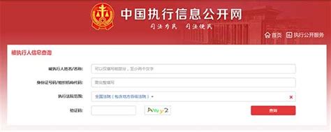 中国执行信息公开网：快速查询个人执行信息指南 2