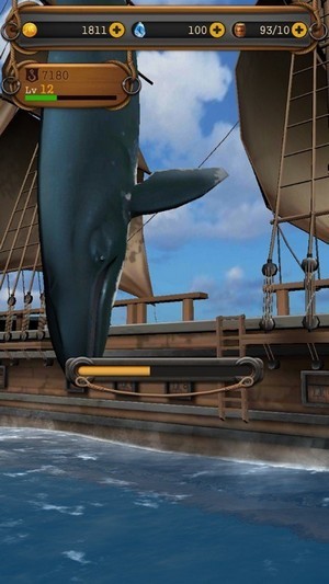 追逐鲸鱼