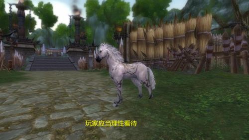 剑网3速成攻略：如何高效提升马驹成长经验 2