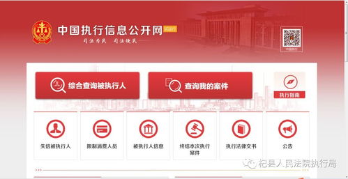 中国执行信息公开网：轻松几步，掌握个人信息查询技巧 2