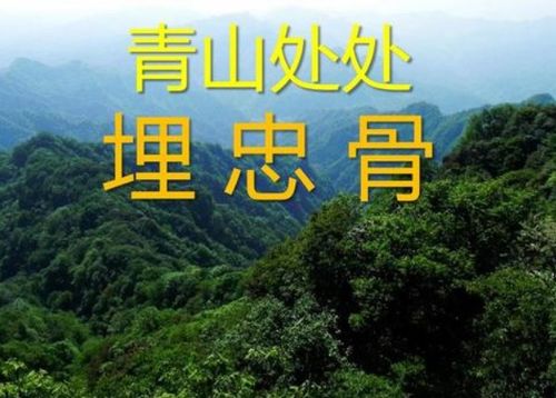 青山处处埋忠骨，何须马革裹尸还'这句诗具体表达了什么意思？ 2