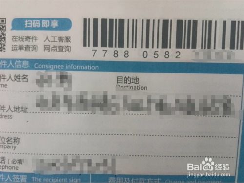 如何快速查询中通快递单号信息？ 3