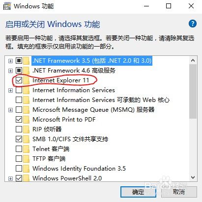 Win10 IE浏览器主页被锁？轻松解锁，一招搞定！ 2