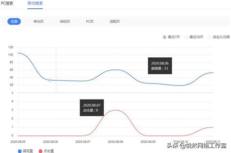 揭秘：全面掌握网站流量与排名数据分析的实用技巧 2