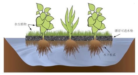 生态浮岛制作全指南：步骤详解与打造技巧 1