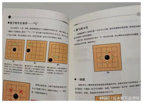 围棋新手必看：轻松掌握围棋入门技巧与知识问答 1