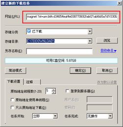掌握技巧：如何在迅雷5.8中轻松下载磁力链接 3