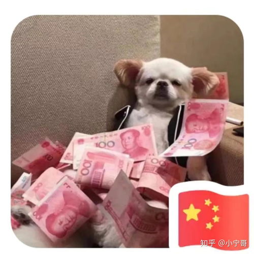 如何设置微信国旗头像？ 3