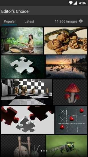 pixabay免费正版