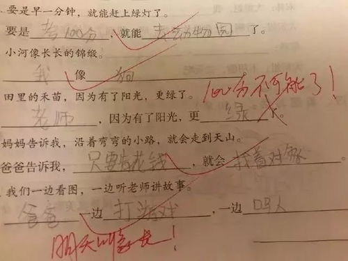 三年级小学生如何巧妙运用“不是什么而是什么”造句 3