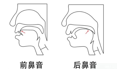 如何区分26个英文字母中的前鼻音发音与后鼻音发音特点？ 3