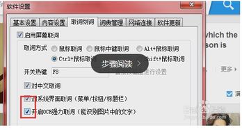如何在有道词典设置翻译后发音 1