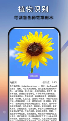 拍照识别识物免费版