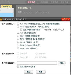 如何在电脑上高效下载GBC格式游戏 2