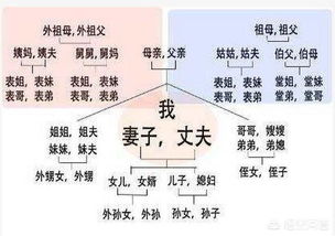 数代人厘定五服范围 4