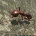 3d蚂蚁模拟器