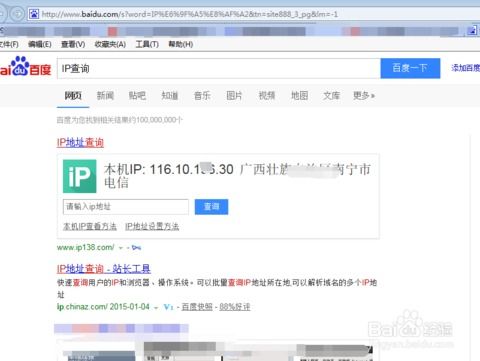 轻松掌握：如何查询IP地址的实用方法 1