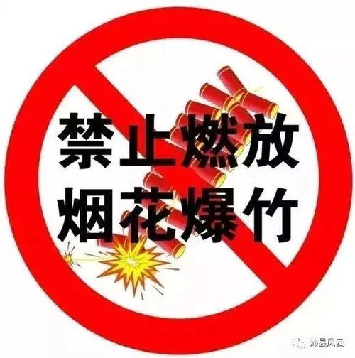 爆竹声声，鞭炮轰鸣的奇妙乐章 4