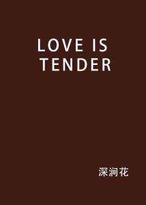 解锁'Tender'一词的多重含义：为何这个词如此耐人寻味？ 1