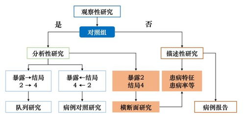 队列研究与病例对照研究：全面对比解析 2