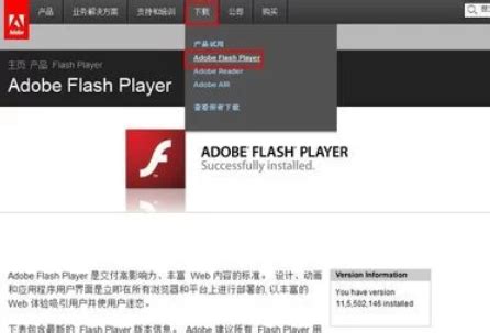 轻松解决Chrome浏览器Shockwave Flash频繁崩溃问题 1