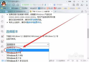 如何下载Windows 8.1 正式版微软官方原版镜像？ 4