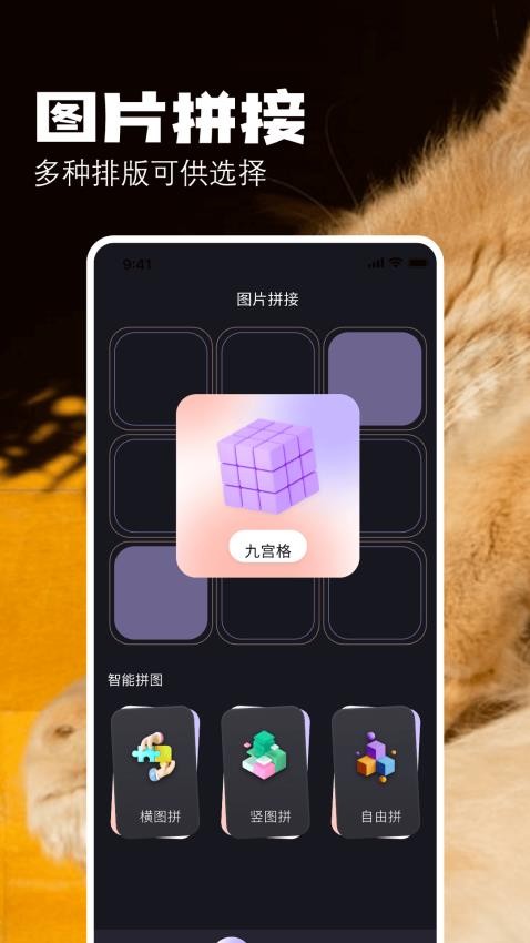 布偶相机正式版app