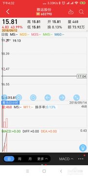 资深股民分享：新股申购的高效策略与技巧 3
