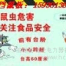 家居防鼠必备秘籍，打造无鼠安心家！ 2