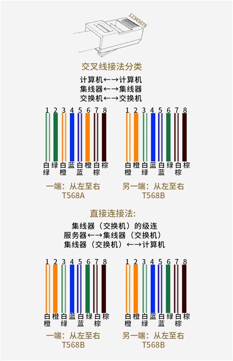 网线插座与模块接线全步骤详解图解 3