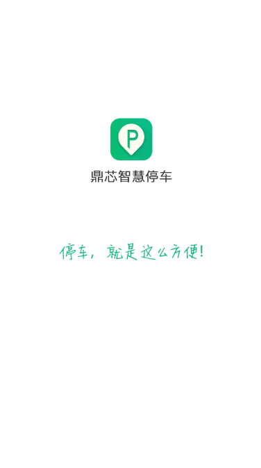 路边停车app