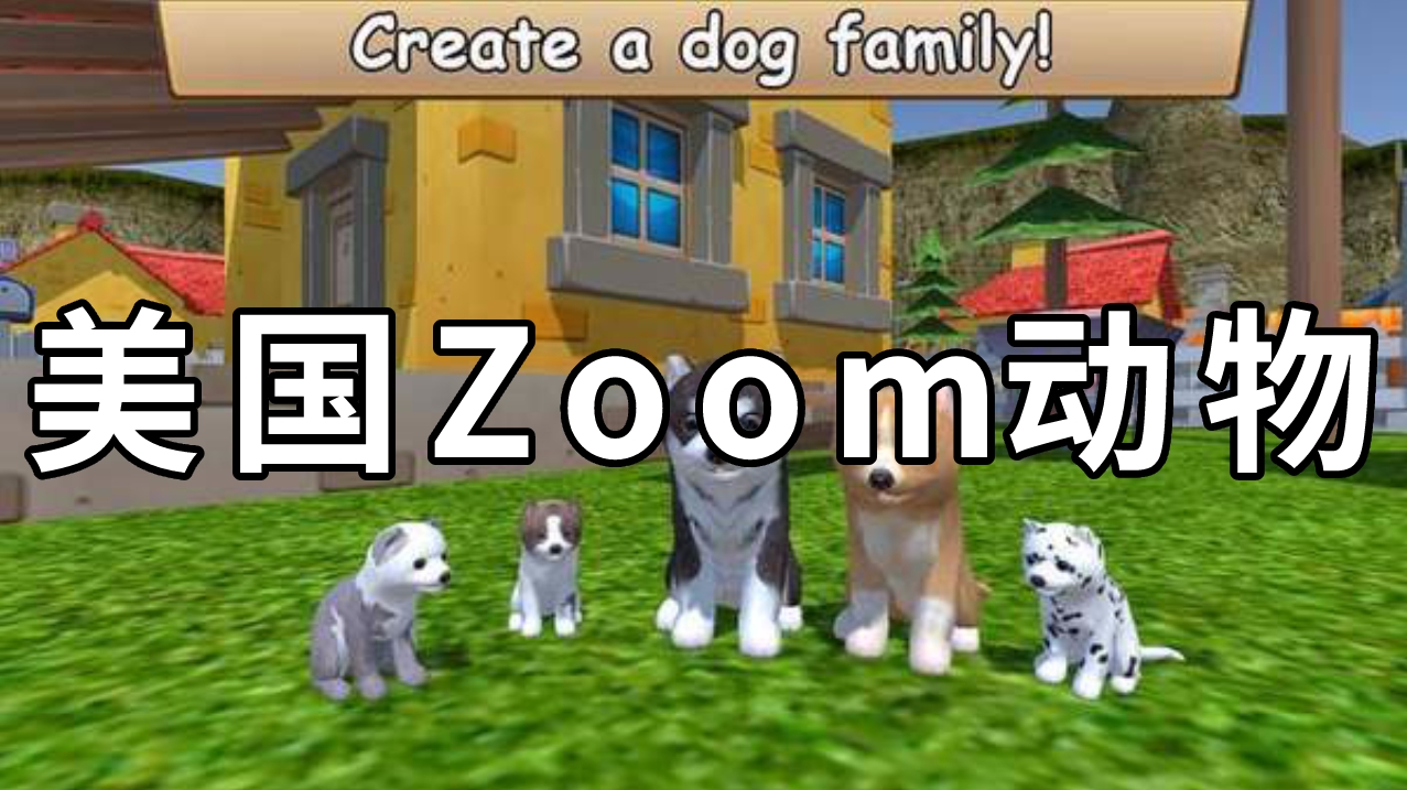 美国Zoom动物游戏合集