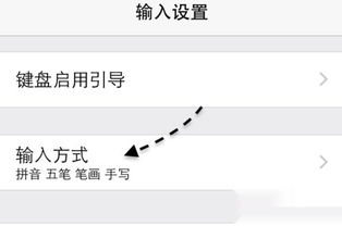 如何在苹果iPhone手机iOS8系统上安装五笔输入法？ 4