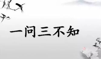 揭秘'一问三不知'背后的三大谜团，你知道是哪三不知吗？ 1