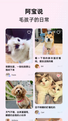 阿宝说app
