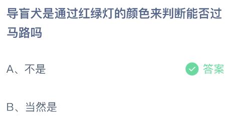 揭秘：导盲犬如何辨识红绿灯，安全引领主人穿越马路？蚂蚁庄园揭秘真相 1