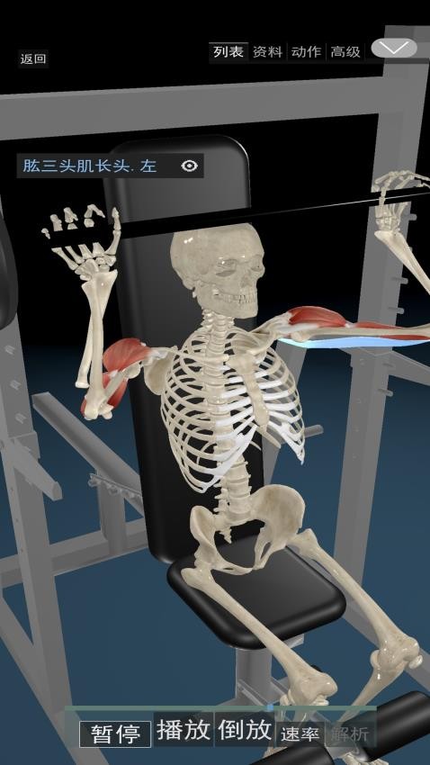 3D动态解剖app