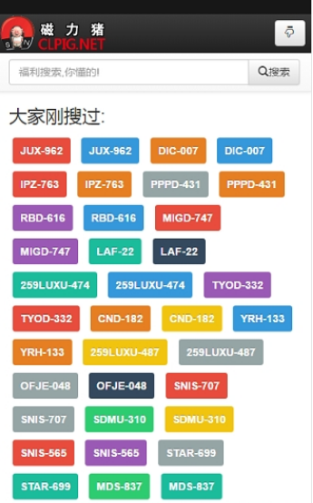磁力猪BT