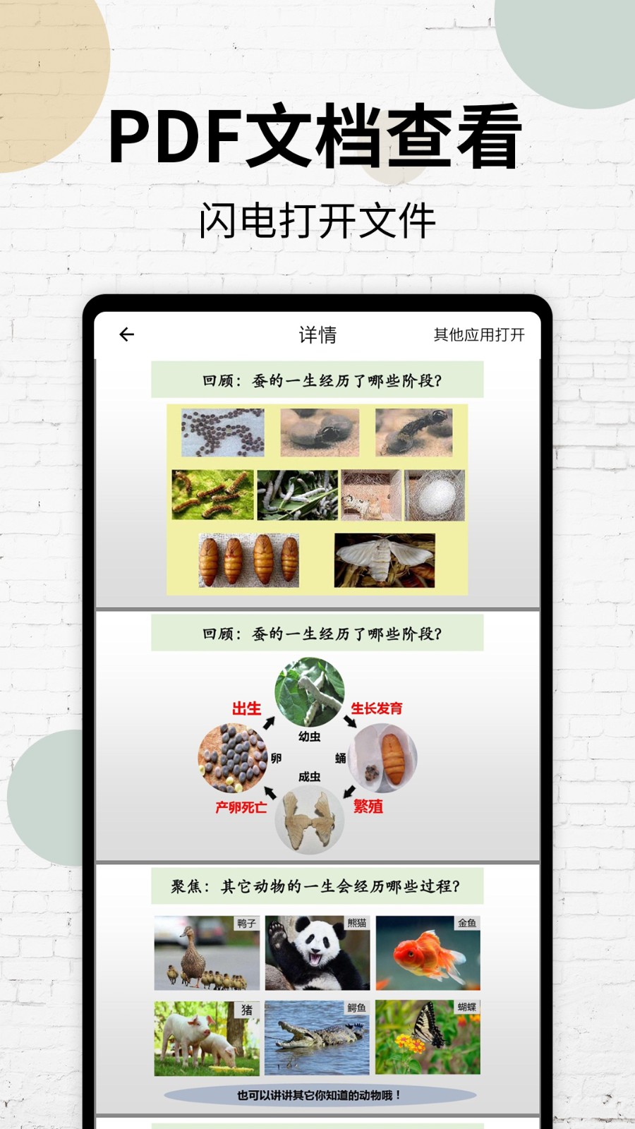 PDF阅读器2025