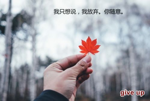 揭秘'give'一词的真正含义，你了解多少？ 3