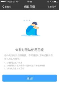 支付宝蚂蚁花呗使用指南详解 4