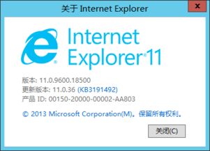 如何查看Internet Explorer（IE）浏览器的版本号 1